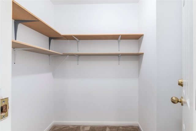 spacious closet with carpet floors