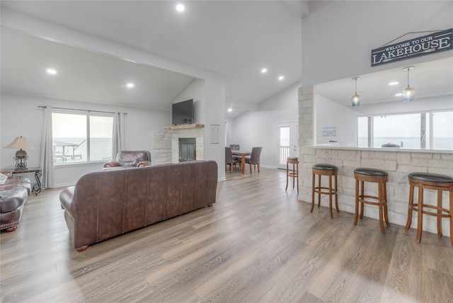 living room with high vaulted ceiling and hardwood / wood-style flooring