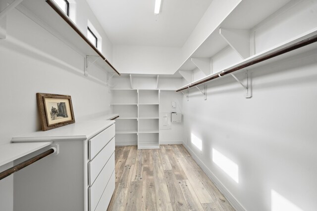 walk in closet with light wood-style floors