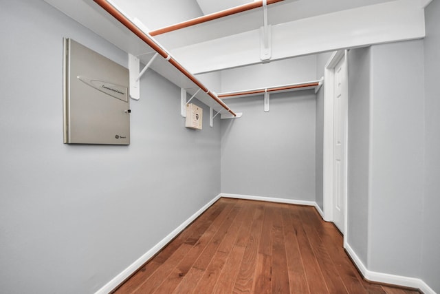 walk in closet with dark wood-type flooring