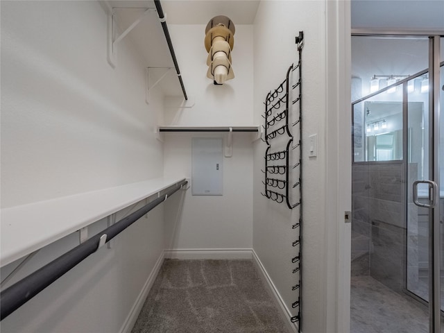 walk in closet featuring dark colored carpet