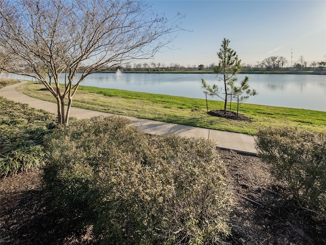 property view of water