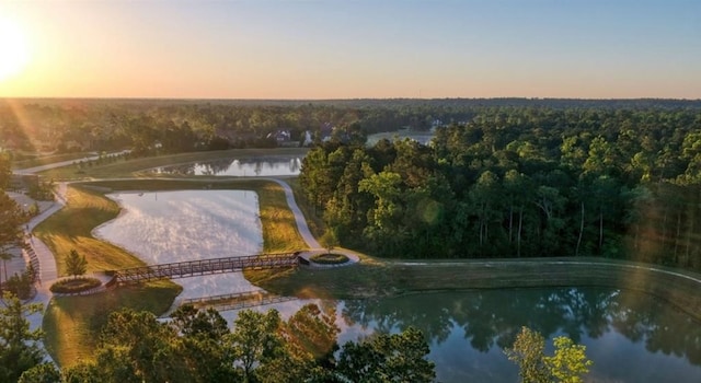 aerial view at dusk with a forest view and a water view