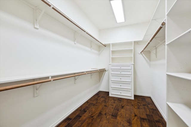 spacious closet featuring dark wood-style flooring