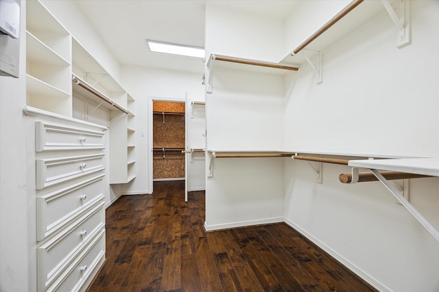 spacious closet featuring dark wood-style flooring