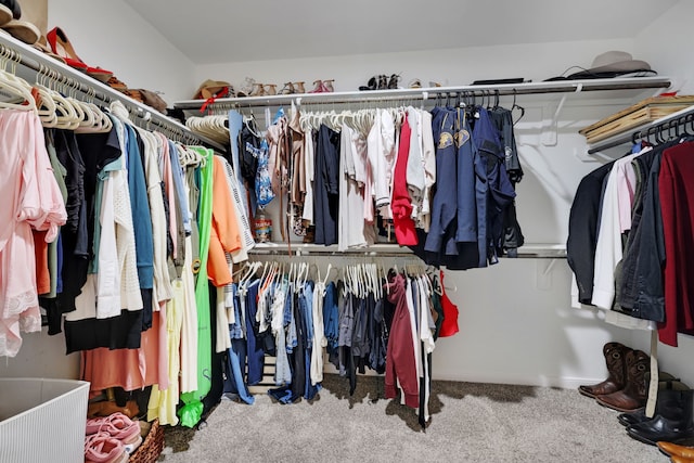 spacious closet featuring carpet floors