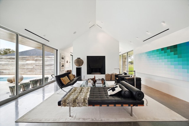 living area featuring high vaulted ceiling and expansive windows