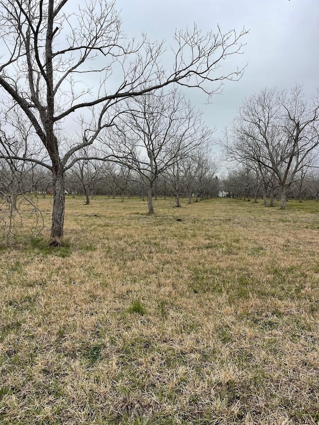 Listing photo 3 for 4010 Richmond Foster Rd, Richmond TX 77406