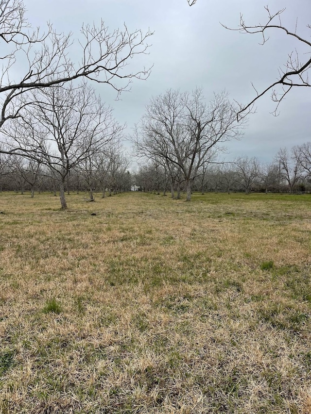 4010 Richmond Foster Rd, Richmond, TX 77406 - photo 4
