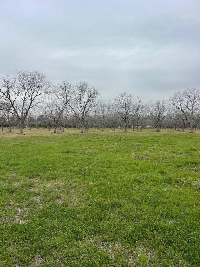 4010 Richmond Foster Rd, Richmond, TX 77406 - photo 6