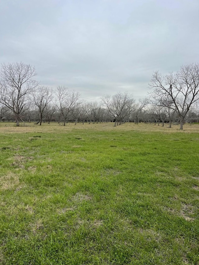 4010 Richmond Foster Rd, Richmond, TX 77406 - photo 7