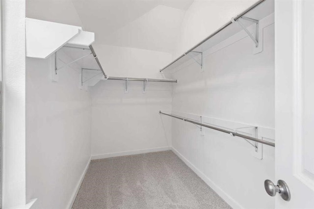 2666 Woodforest Pkwy N, Montgomery, TX 77316 - spacious closet with carpet