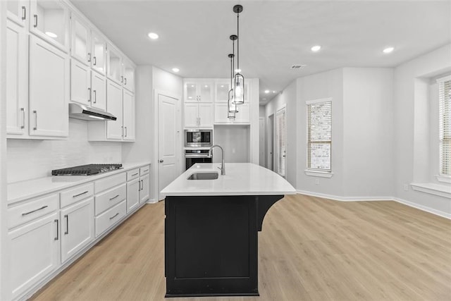 2666 Woodforest Pkwy N, Montgomery, TX 77316 - kitchen featuring a sink, glass insert cabinets, light wood-style floors, under cabinet range hood, and appliances with stainless steel finishes