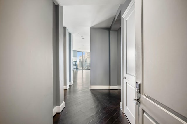 hallway featuring baseboards, expansive windows, dark wood-style floors, and a city view