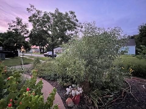 view of yard at dusk