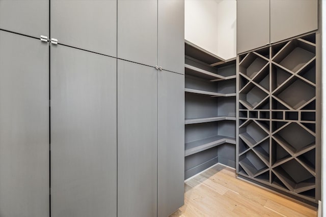 spacious closet with light wood-type flooring