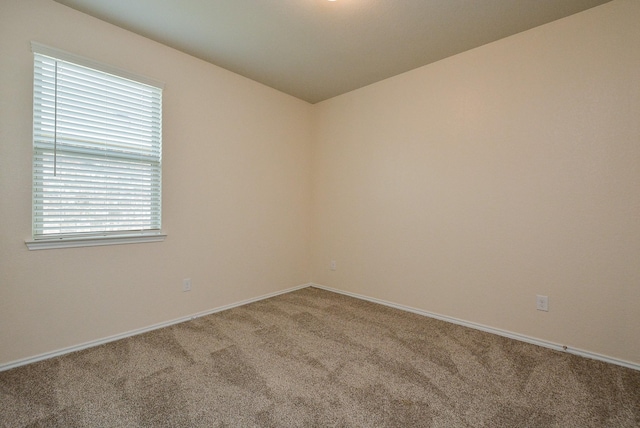 empty room with carpet flooring