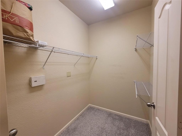 spacious closet with carpet floors