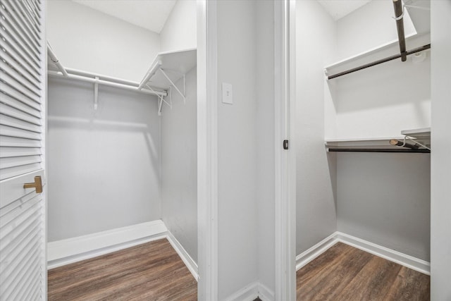 walk in closet featuring dark wood-type flooring