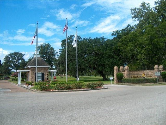 view of road with curbs