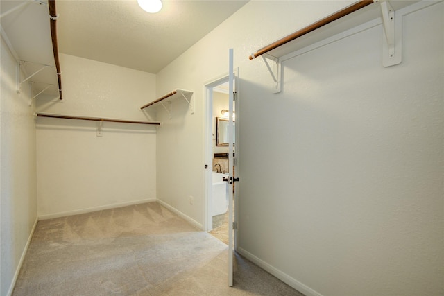 spacious closet featuring light colored carpet