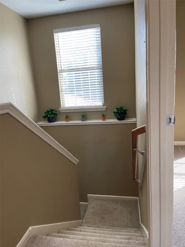 stairway featuring carpet floors and baseboards