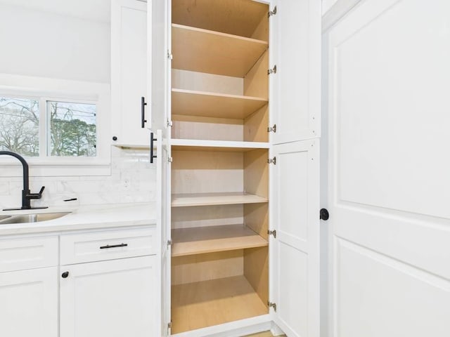 pantry featuring a sink