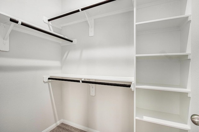411 Wellshire Dr, West Columbia, TX 77486 - walk in closet with carpet