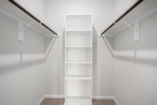 411 Wellshire Dr, West Columbia, TX 77486 - walk in closet featuring carpet flooring