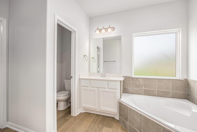 411 Wellshire Dr, West Columbia, TX 77486 - full bathroom featuring a garden tub, vanity, and wood finished floors