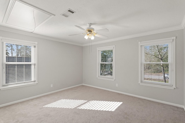 spare room featuring attic access, light carpet, plenty of natural light, and baseboards