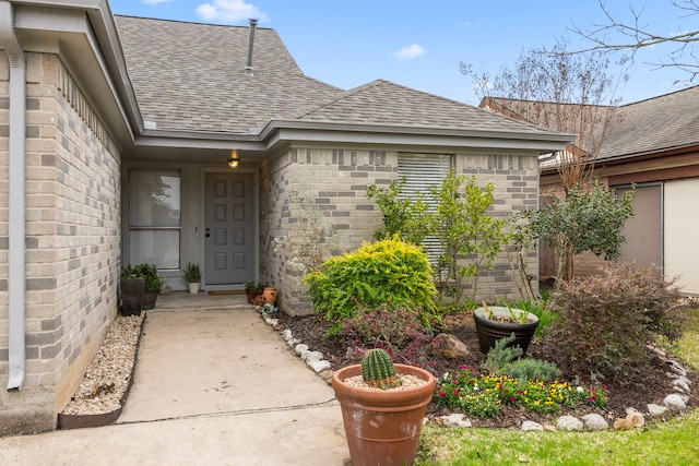 doorway to property featuring a shingled roof and brick siding