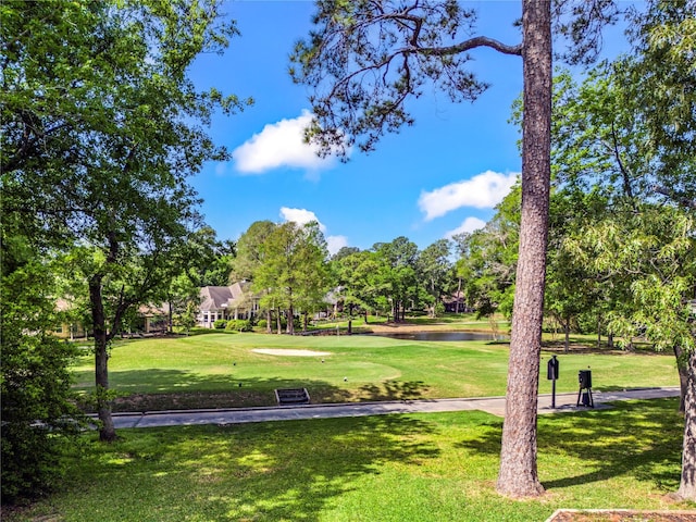 view of community with a water view and a lawn