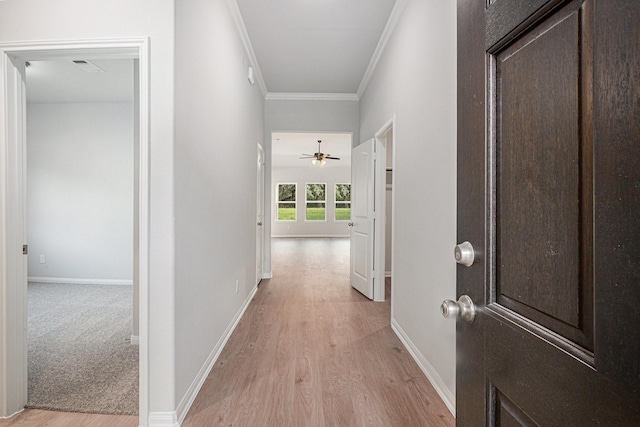 314 Wellshire Dr, West Columbia, TX 77486 - hall with crown molding and light wood-type flooring