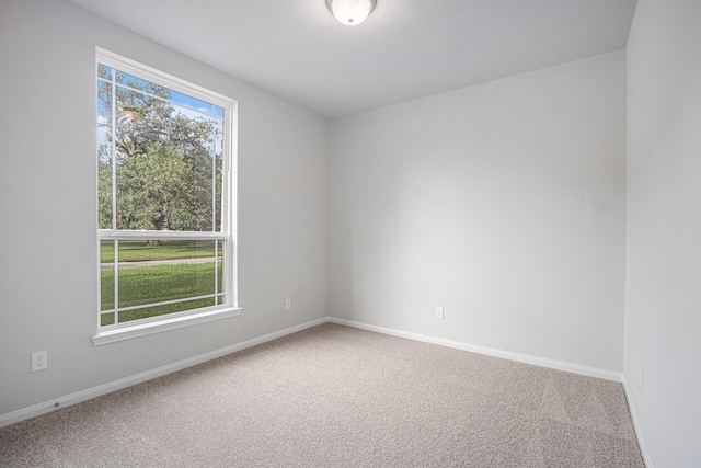 314 Wellshire Dr, West Columbia, TX 77486 - empty room featuring carpet