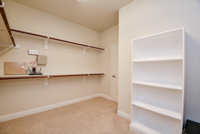 spacious closet with carpet