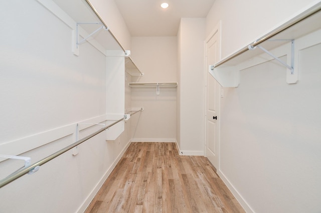 spacious closet featuring light wood finished floors