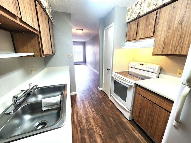 kitchen with a sink, white appliances, light countertops, dark wood-type flooring, and under cabinet range hood