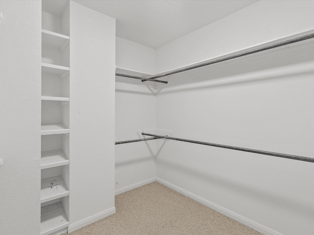 spacious closet with light colored carpet