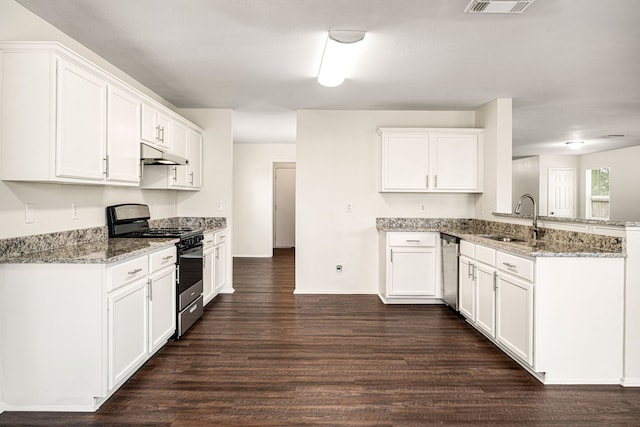 kitchen featuring light stone counters, under cabinet range hood, stainless steel appliances, a sink, and white cabinets