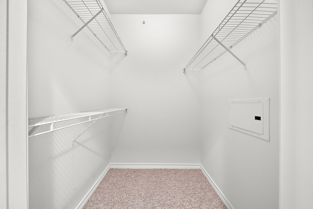 walk in closet featuring carpet floors