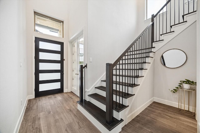 entrance foyer featuring baseboards, a high ceiling, and wood finished floors