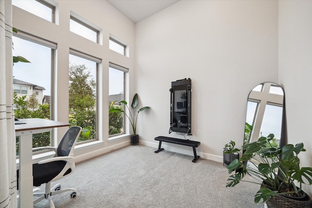9410 Knollwood Ln, Missouri City, TX 77459 - carpeted office space featuring a towering ceiling, a wealth of natural light, and baseboards
