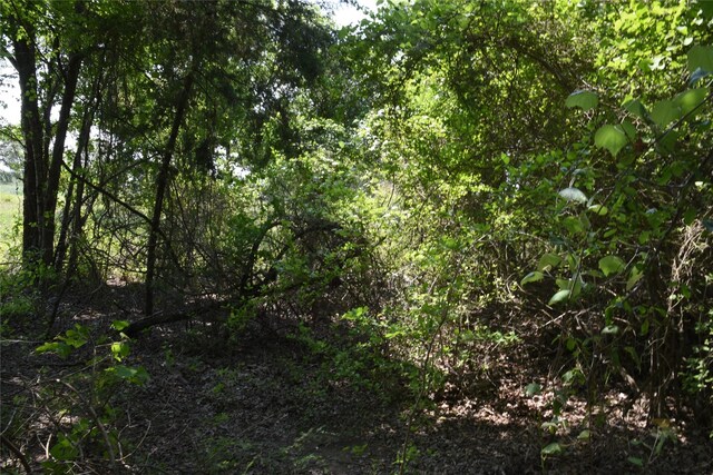 TBD Sandstone Rd, Burton, TX 77835
