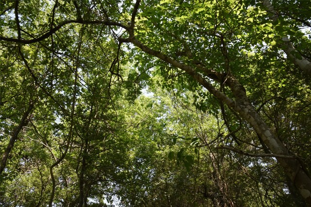 TBD Sandstone Rd, Burton, TX 77835