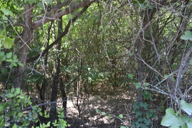TBD Sandstone Rd, Burton, TX 77835