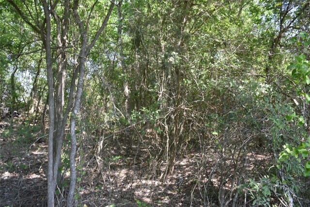 TBD Sandstone Rd, Burton, TX 77835