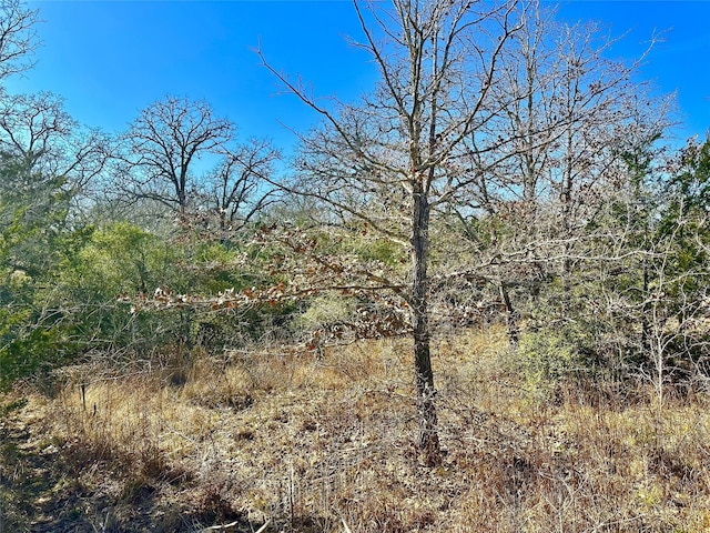 Listing photo 2 for 0 Wood Haven Dr, Waelder TX 78959