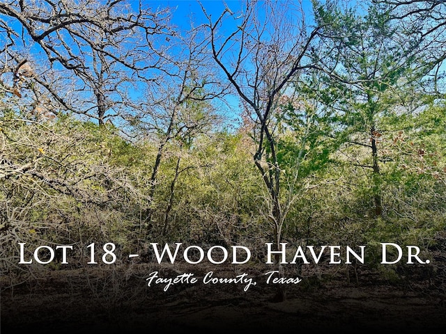 0 Wood Haven Dr, Waelder TX, 78959 land for sale