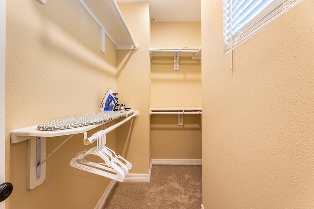 spacious closet featuring carpet flooring